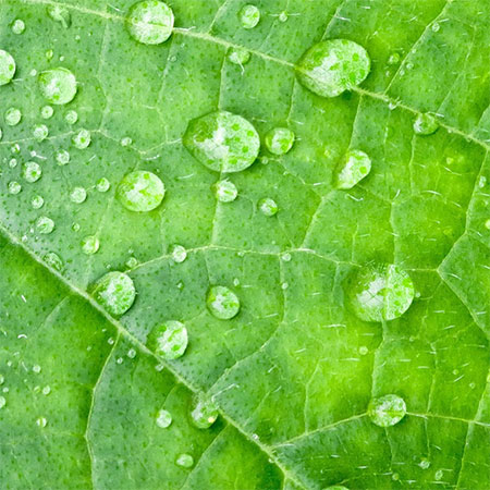 دانلود آهنگ باران مهدی صدوقیان